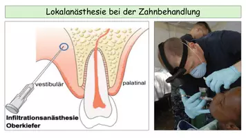 Vorschau - Stundenentwürfe - Ruhe- und Aktionspotential - Materialpaket zum Sparpreis! - Seite 2