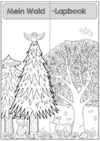 Vorschau - Mal- und Bastelvorlagen - Lapbook Wald (Nadel- und Laubbäume, Pflanzen und Stockwerke) - Seite 3