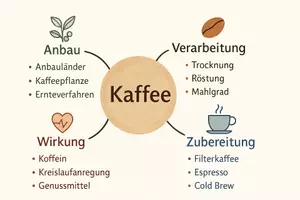 Vorschau - Arbeitsblätter - Lernposter + AB mit Fragen zum Thema "Kaffee" + Lösungsblatt + Mindmap + Infografik - Seite 3