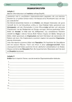 Vorschau - Arbeitsblätter - Organisationsstufen - Deckblatt