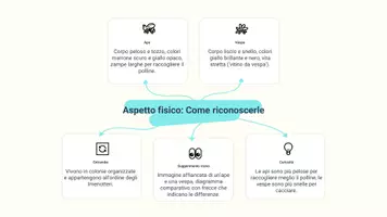 anteprima - Materiale interattivo - Raccolta di materiali "Scienze": insetti, diversità e osservazione di organismi vicini - Pagina 3