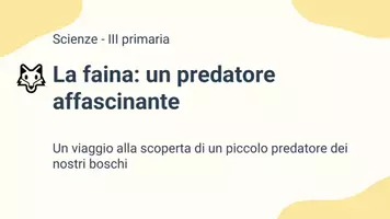 anteprima - Materiale interattivo - Raccolta di materiali "Scienze": mammiferi, ecologia e catene alimentari - Pagina 1
