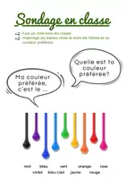 Voorbeeld - Frans: sondage en classe - la couleur préférée - Voorblad