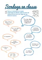 Voorbeeld - Frans: sondage en classe " Tu as des frères et sœurs?" - Voorblad