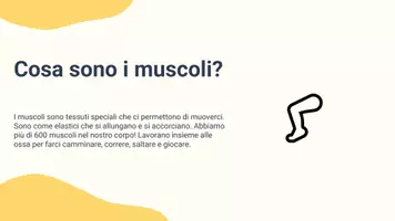 anteprima - Materiale interattivo - Raccolta di materiali "Scienze": apparato muscolare e movimento - Pagina 2