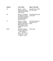 Vorschau - Aufgabenkarten - Reading Chain: Cardiovascular System - Seite 3