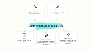 anteprima - Presentazioni / Lavagne - Analizzare fattori che influenzano l’attività enzimatica - Pagina 3