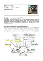 Vorschau - Arbeitsblätter - Ökologie - Einführung und Begriffsklärung - Deckblatt