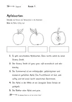 Vorschau - Arbeitsblätter - Herbst- Logical. Übungsheft mit Lösungen - Seite 2