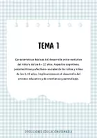 Vista previa - Para docentes: organización, planificación y formación - PORTADAS DE LOS TEMAS DE PRIMARIA - OPOSICIONES - página 1