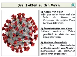 Vorschau - Stundenentwürfe - Viren - Aufbau, Vermehrung, Beispiele: Interaktive Unterrichtsstunde - Seite 2