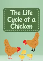 Vorschau - Arbeitsblätter - The Life Cycle of a Chicken - Deckblatt
