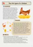 Vorschau - Arbeitsblätter - The Life Cycle of a Chicken - Seite 1
