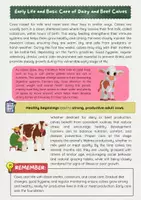 Vorschau - Arbeitsblätter - How Cows are Raised: Englischunterricht - Seite 1