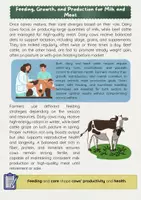 Vorschau - Arbeitsblätter - How Cows are Raised: Englischunterricht - Seite 2