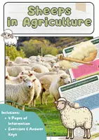 Vorschau - Arbeitsblätter - Schafe in der Landwirtschaft: Artikel auf Englisch - Deckblatt