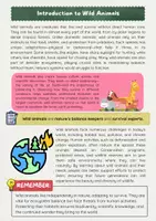 Vorschau - Arbeitsblätter - Wildtiere und ihre Lebensräume auf Englisch - Seite 1