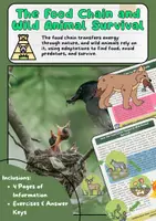 Vorschau - Arbeitsblätter - Food Chain & Wild Animal Survival - Deckblatt