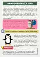 Vorschau - Arbeitsblätter - How Wild Animals Adapt to Their Environment - Seite 1