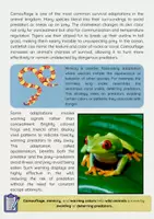Vorschau - Arbeitsblätter - How Wild Animals Adapt to Their Environment - Seite 2