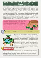 Vorschau - Arbeitsblätter - Wild Animals Bundle Englischunterricht - Seite 2