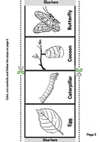 Προεπισκόπηση - Φύλλα εργασίας - Life cycle of a butterfly / Ο κύκλος της ζωής μιας πεταλούδας - Σελίδα 2