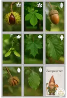 Vorschau - Spiele - Kartenspiel Zwergenstreich im Wald (Pechvogel-Edition) - Seite 3