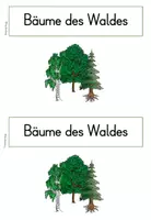 Vorschau - Arbeitsblätter - Bäume des Waldes: Materialpaket - Seite 2