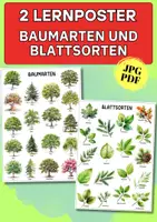 Vorschau - Poster - Lernposter Bäume & Blätter – 18 Baumarten entdecken für Kita, Grundschule & Naturprojekte - Deckblatt