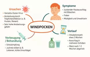 Vorschau - Arbeitsblätter - Arbeitsblätter zum Thema "Windpocken" + Lösung & MP3 + Mindmap + Infografik - Seite 2