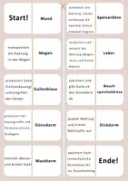 Vorschau - Spiele - Domino: Verdauungsorgane und Funktionen - Seite 2