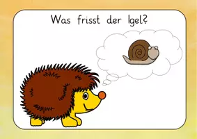 Vorschau - Unterrichtsreihen - Reihentransparenz Igel – Transparenzkarten zur Visualisierung des Lernprozesses (Sachunterricht) - Seite 2