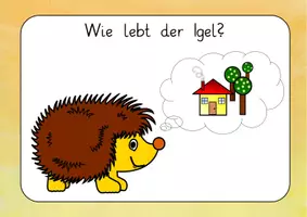 Vorschau - Unterrichtsreihen - Reihentransparenz Igel – Transparenzkarten zur Visualisierung des Lernprozesses (Sachunterricht) - Seite 3