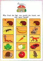 Vorschau - Präsentationen/Tafelbilder - Igel-Wissen im Überblick – Tafelmaterial zum Sortieren (Sachunterricht / Biologie) - Deckblatt