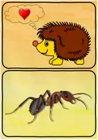 Vorschau - Präsentationen/Tafelbilder - Igel-Wissen im Überblick – Tafelmaterial zum Sortieren (Sachunterricht / Biologie) - Seite 3