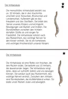Vorschau - Stationenlernen - Lerntheke: Körper & Organe - Seite 2