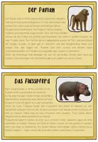 Vorschau - Aufgabenkarten - Afrikas Tierwelt - Lesetexte - Seite 2