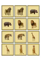 Vorschau - Spiele - Afrikas Tierwelt - Paare finden - Seite 2