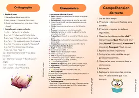 Aperçu - Fiches - Mon aide mémoire de français - Page 1