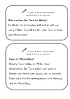 Vorschau - Arbeitsblätter - Abschreibtexte: Tiere im Winter - Seite 1