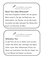 Vorschau - Arbeitsblätter - Abschreibtexte: Tiere im Winter - Seite 2