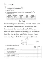 Vorschau - Arbeitsblätter - Texte knacken. Thema: Tiere. Schlüsselwörter markieren. Leseverständnis - Seite 3