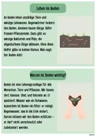 Vorschau - Bildkarten - Wissenskarteien Boden/Bodenbeschaffenheit - Seite 3
