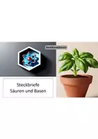 Vorschau - Arbeitsblätter - Steckbrief Säure und Base bzw. Lauge - Deckblatt