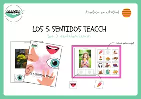 Vista previa - Tarjetas / Manipulativos - LOS 5 SENTIDOS TEACCH - página 1