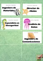 Vista previa - Tarjetas / Manipulativos - TARJETAS DE ROLES EN EL LABORATORIO - página 2