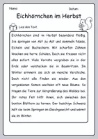 Vorschau - Arbeitsblätter - Materialpaket zum Lesen und Verstehen 2. Klasse (Themen: Mut, Umwelt, Ferien, Klassenzusammenhalt, Tiere, letzter Schultag) - Seite 3
