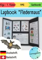 Vorschau - Merkblätter - Lapbook für den Kindergarten: Die Fledermaus - Seite 1