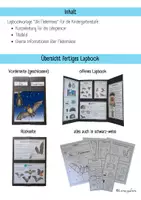 Vorschau - Merkblätter - Lapbook für den Kindergarten: Die Fledermaus - Seite 2
