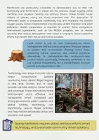 Vorschau - Arbeitsblätter - Environmental Issues Bundle – Climate Change, Pollution, Renewable Energy, Wildlife - Seite 3